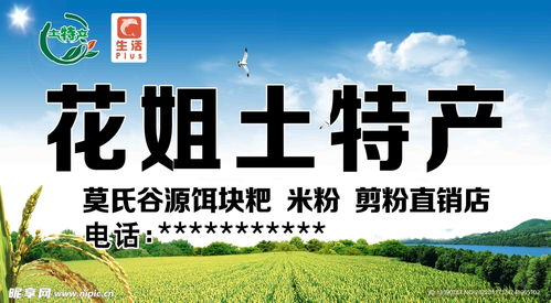 土特產門頭廣告設計指南 關鍵要素與創(chuàng)意靈感